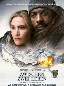 Zwischen-zwei-Leben-the-Mountain-between-us-poster